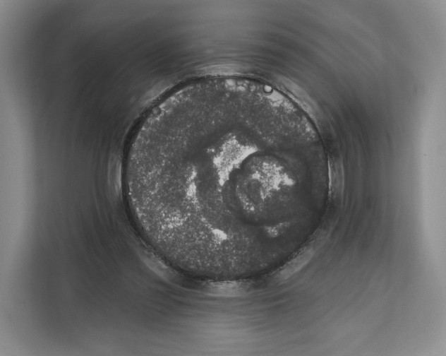 X0000111620301200908071356