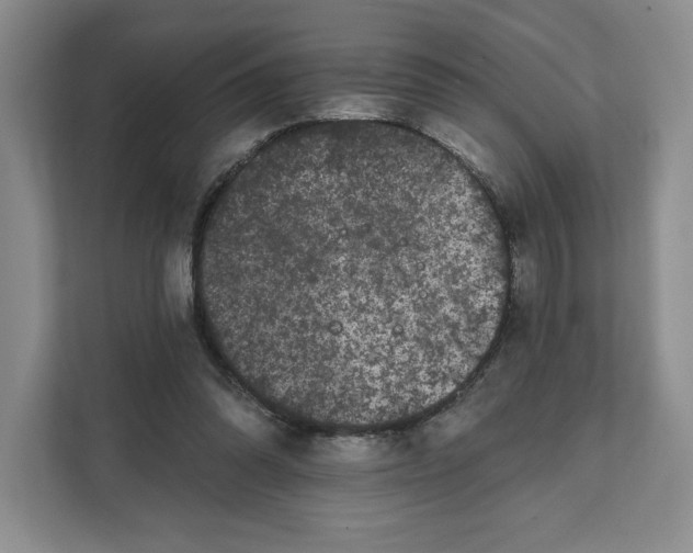 X0000111620302200908071356