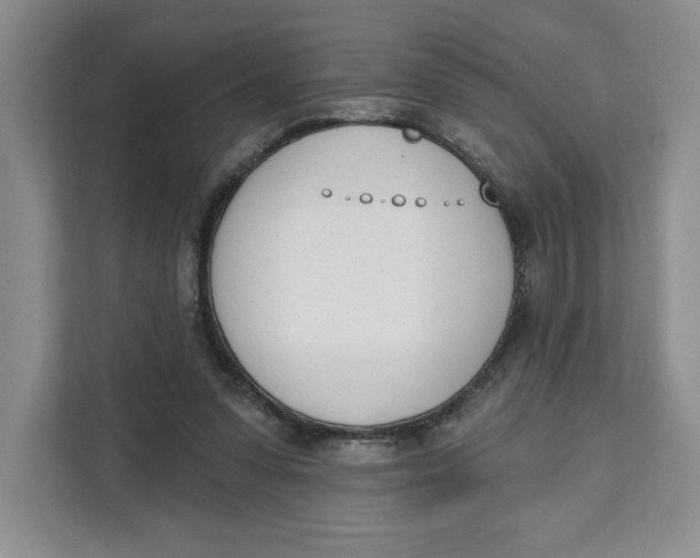 X0000111620303200908071356