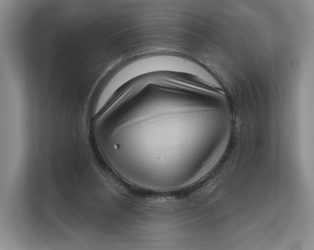 X0000111620304200908071356