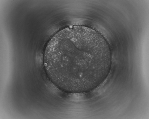 X0000111620305200908071356