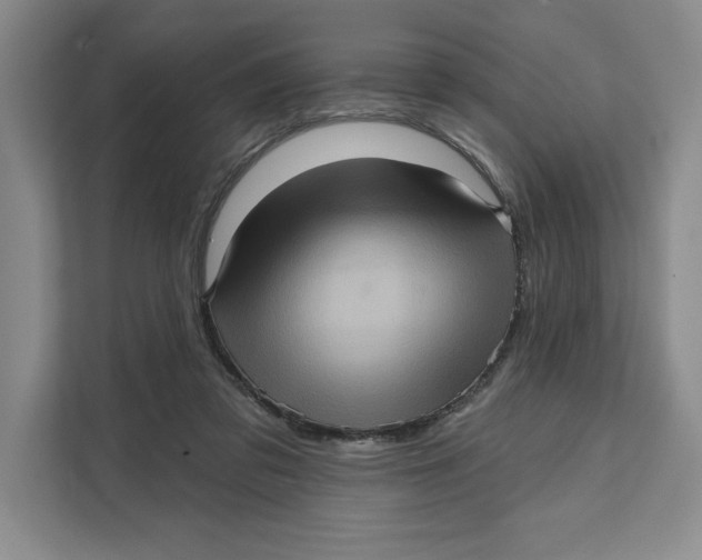 X0000111620309200908071356