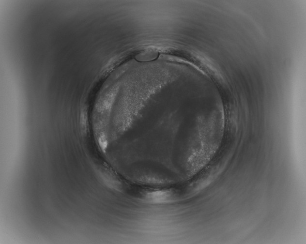 X0000111620312200908071356