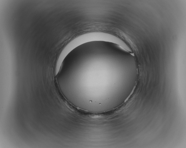 X0000111620313200908071356