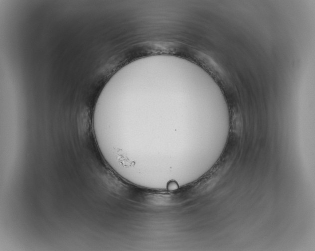 X0000111620318200908071356