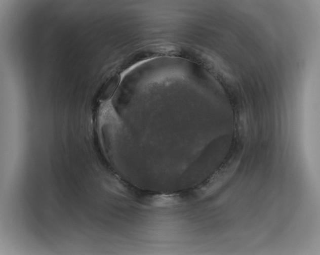 X0000111620320200908071356