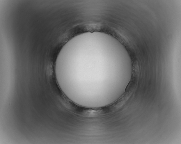 X0000111620323200908071356