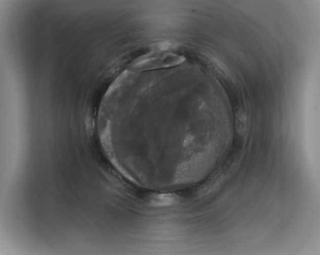 X0000111620324200908071356