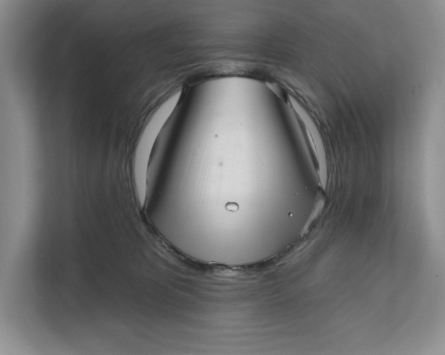 X0000111620325200908071356