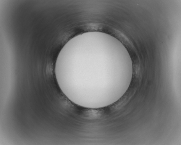 X0000111620326200908071356