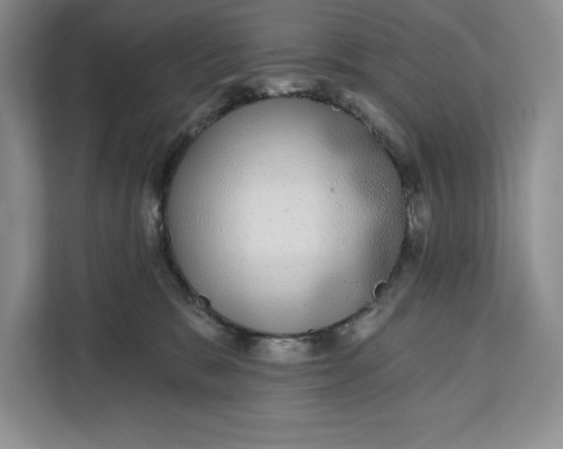 X0000111620327200908071356