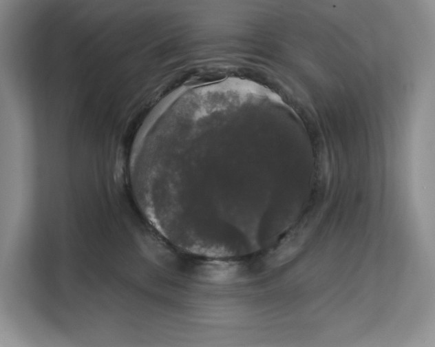 X0000111620328200908071356