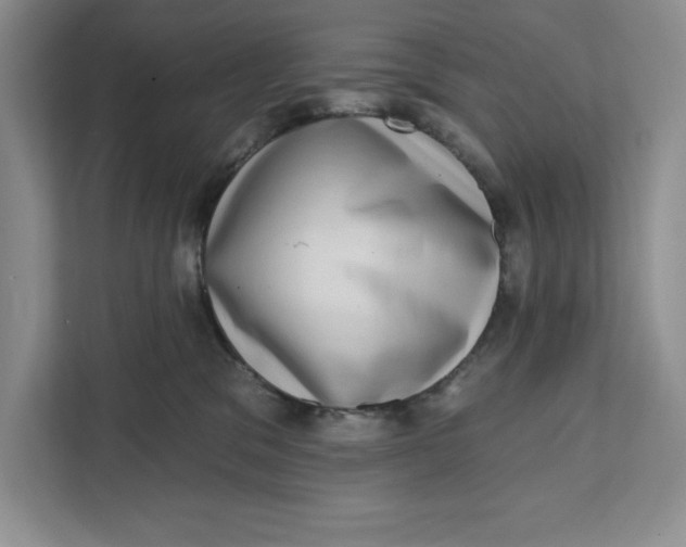 X0000111620329200908071356