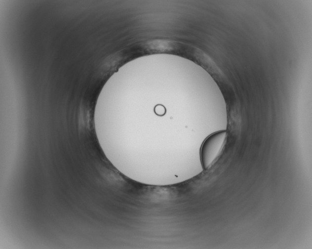 X0000111620330200908071356