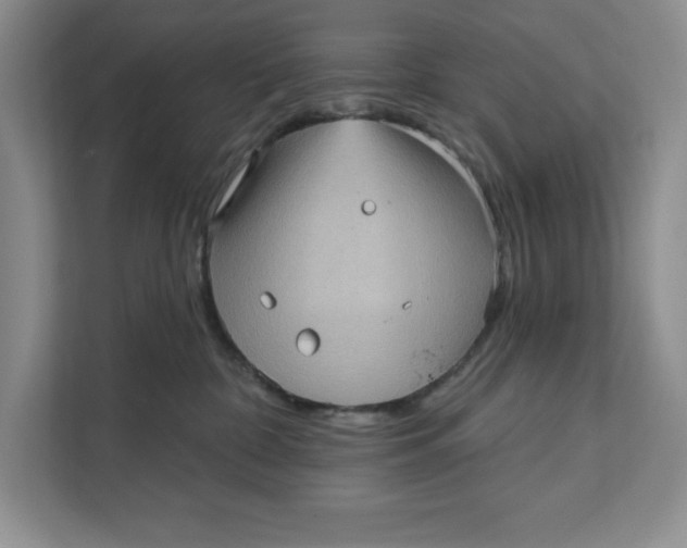 X0000111620332200908071356