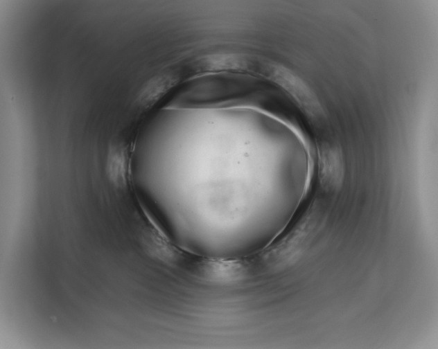 X0000111620333200908071356