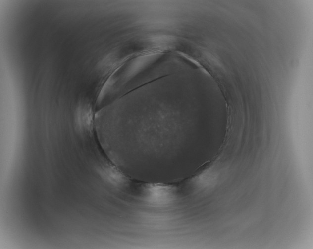 X0000111620336200908071356