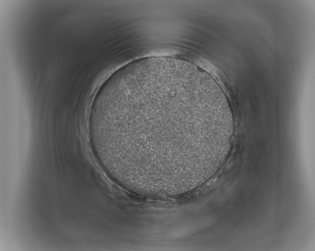 X0000111620337200908071355