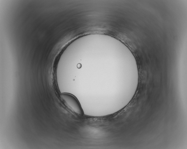 X0000111620338200908071355