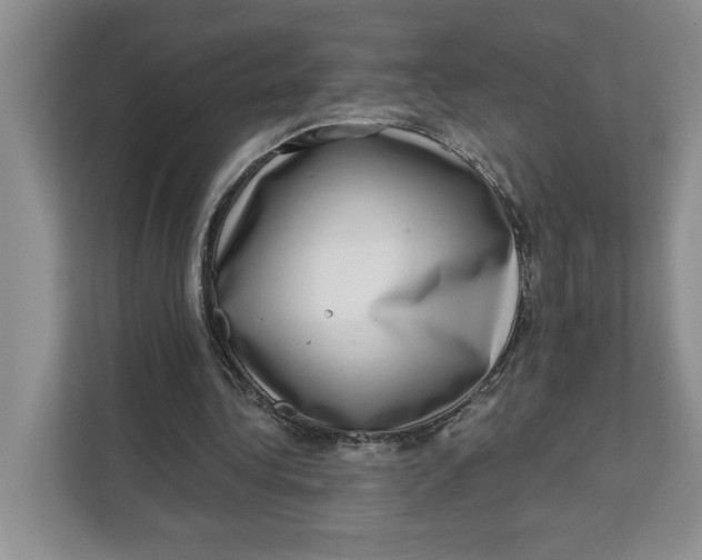 X0000111620340200908071355