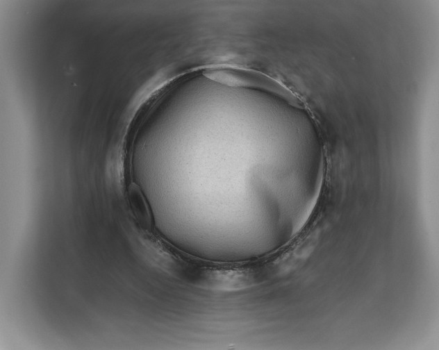 X0000111620344200908071355