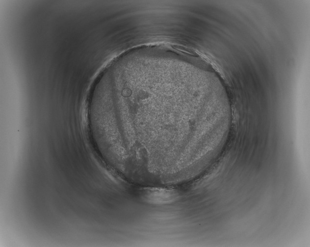 X0000111620347200908071355