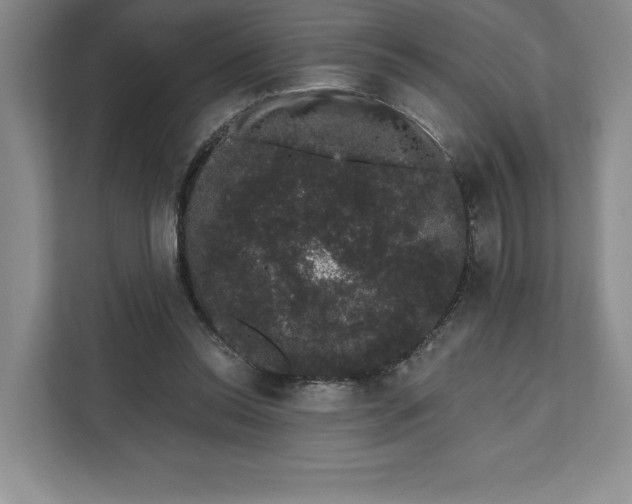 X0000111620350200908071355