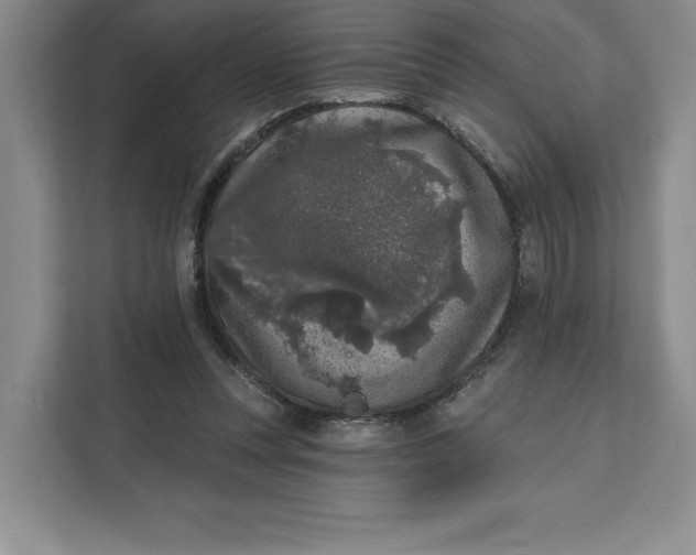 X0000111620351200908071355