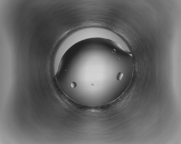 X0000111620352200908071355