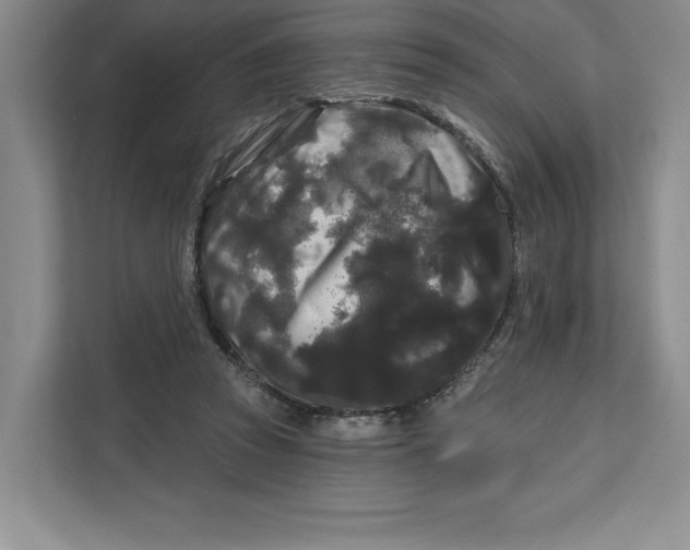 X0000111620353200908071355