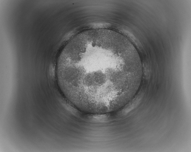 X0000111620357200908071355