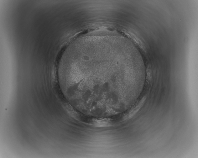 X0000111620359200908071355