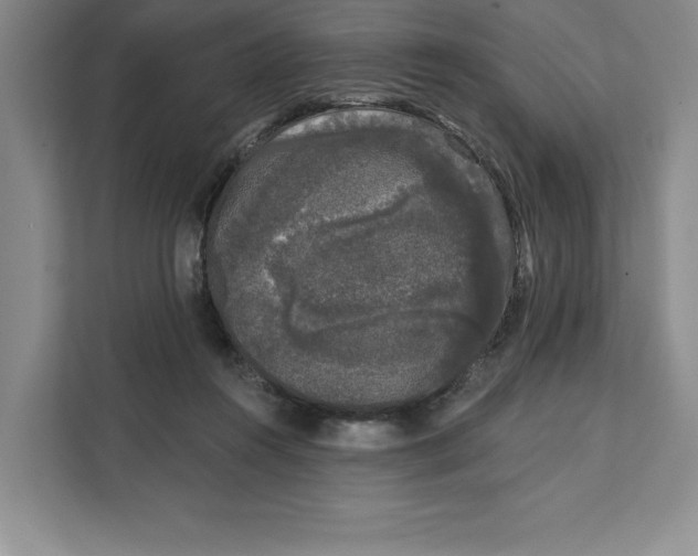 X0000111620360200908071355