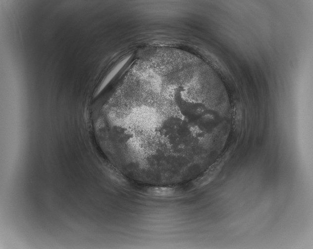 X0000111620361200908071355