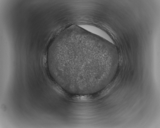 X0000111620365200908071355