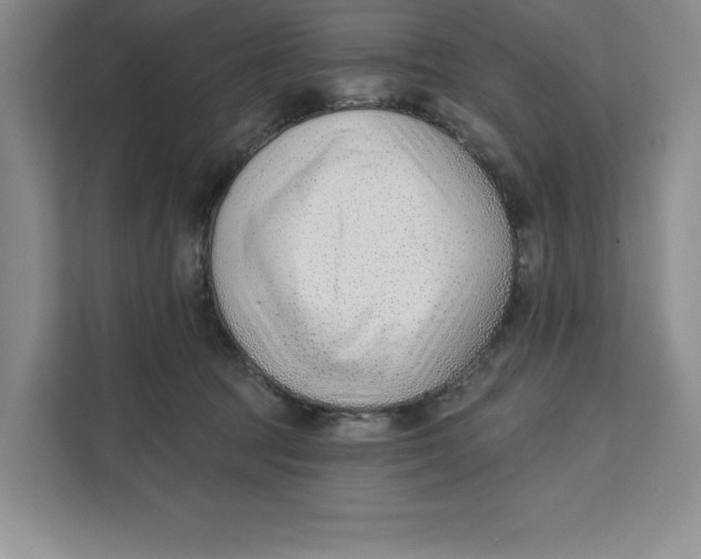 X0000111620369200908071355