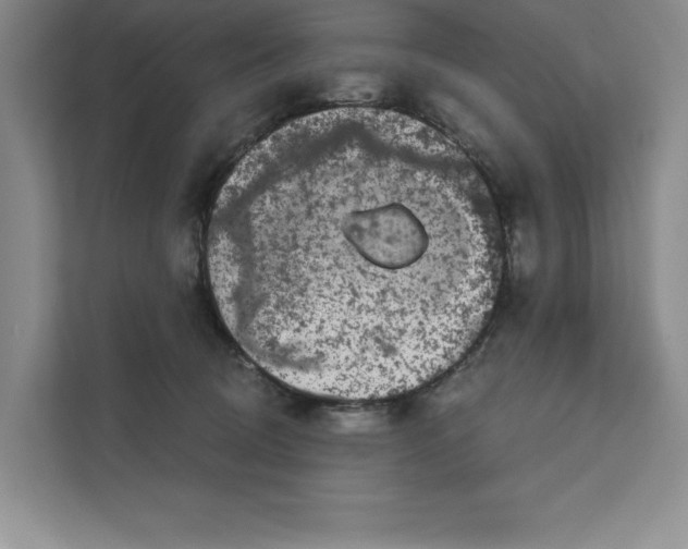 X0000111620370200908071355