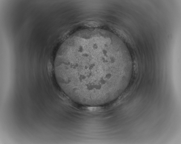 X0000111620371200908071355