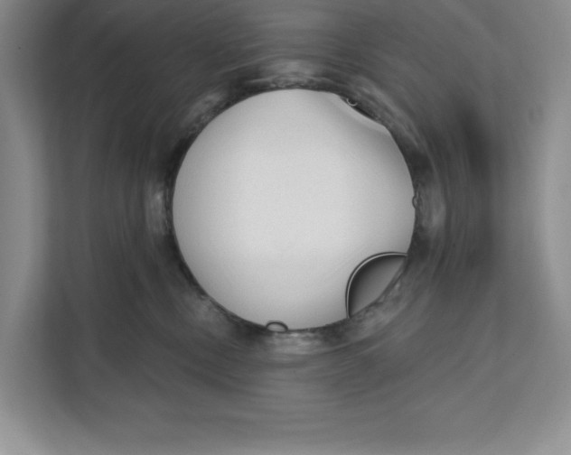 X0000111620378200908071355