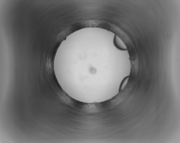 X0000111620381200908071355