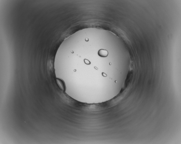 X0000111620382200908071355