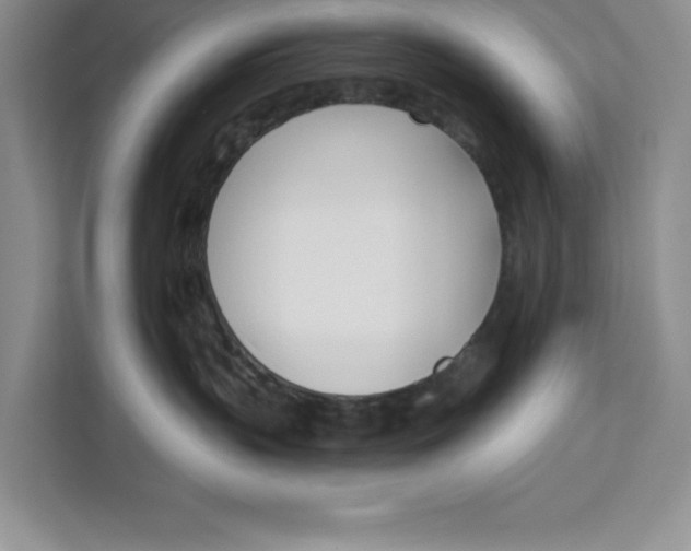 X0000111620383200908071355