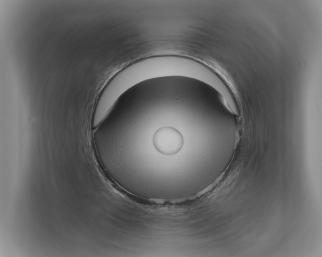 X0000111620385200908071355