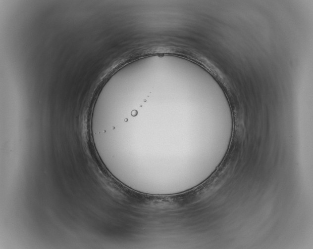 X0000111620386200908071355