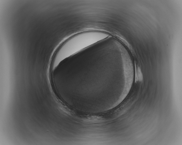 X0000111620387200908071355