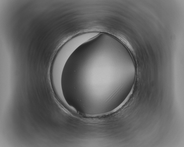 X0000111620389200908071355