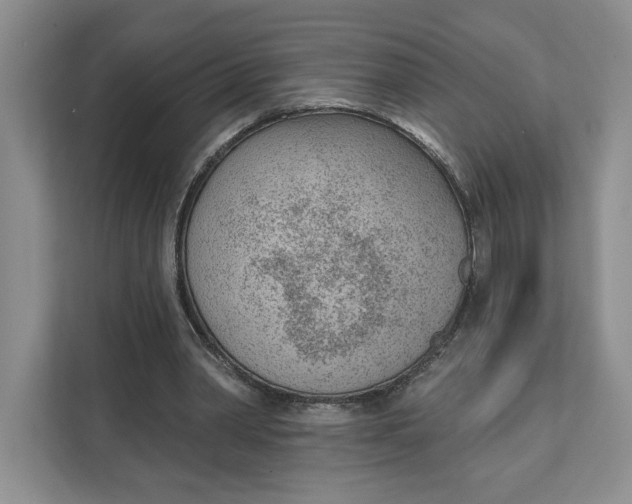 X0000111620390200908071355