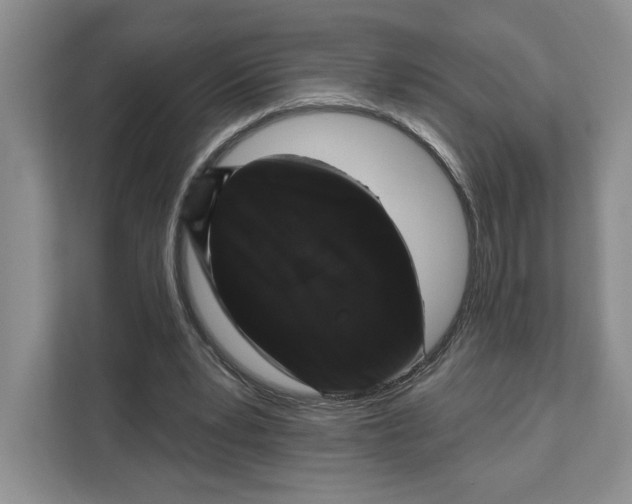 X0000111620391200908071355