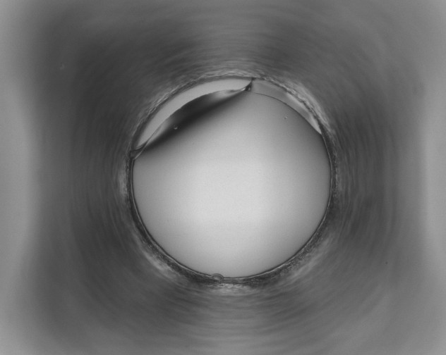 X0000111620393200908071355