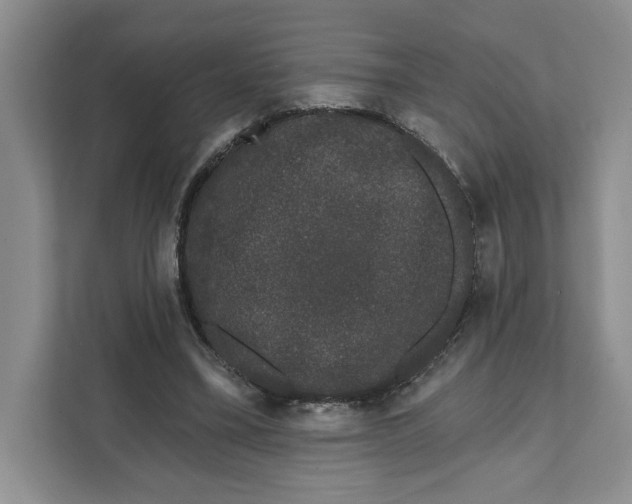 X0000111620395200908071355